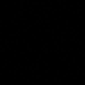 Meet your Posher, Abdul